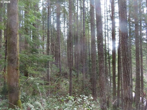 N Lake Cushman Rd, Hoodsport, WA 98548
