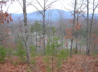 E-66 Lake Adger, MILL SPRING, NC 28756