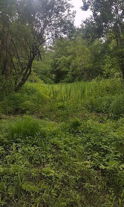 2nd image of 81 Davis Rd