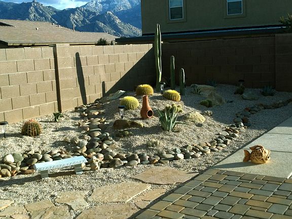 Lots of cactus - no need to water