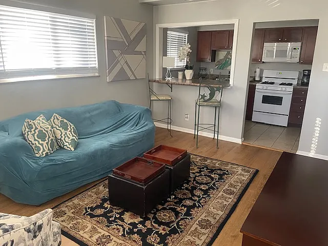 1 bed, 550 sqft, $1,000 — Photo 1