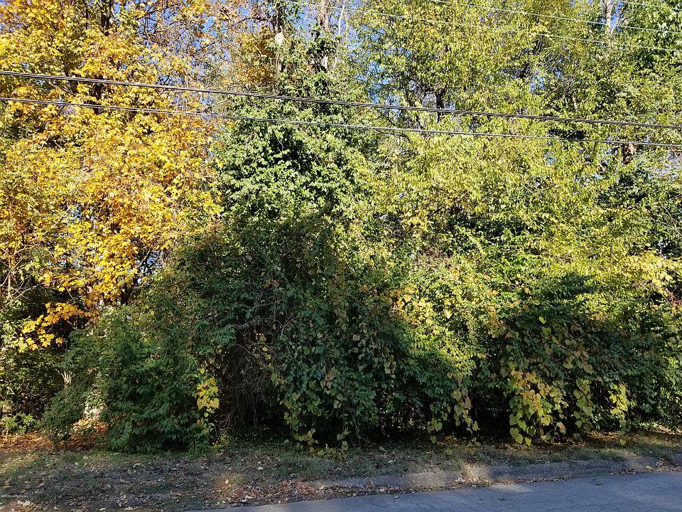 2nd image of 6723 Fernbush Dr