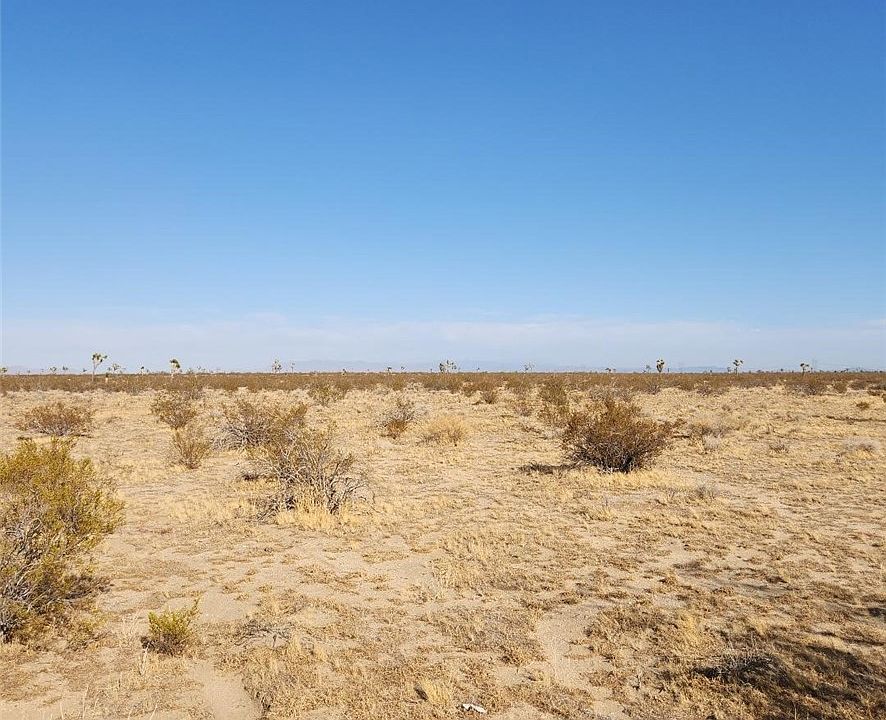1st image of 123 Wilson Ranch Rd