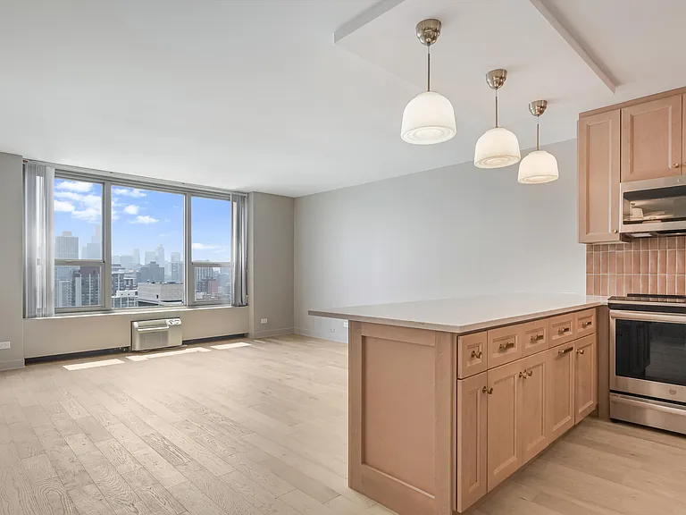 1550 N Lake Shore Dr #29D — Photo 2