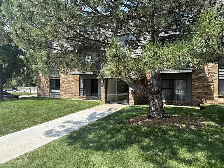 Meadow Wood — Photo 2