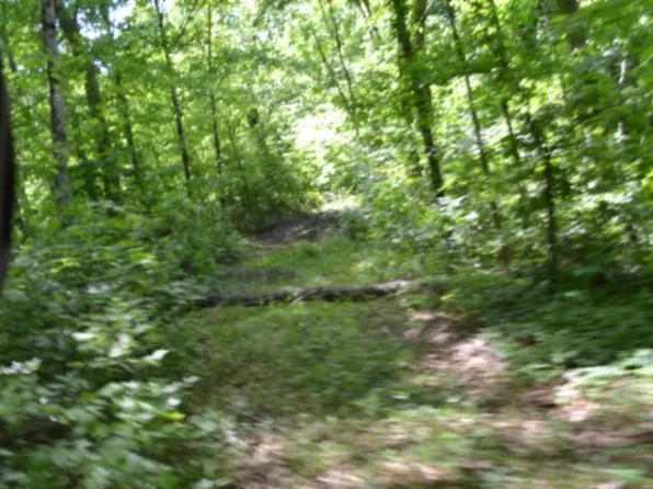 0 Beauchamp Rd, Burkesville, KY 42717