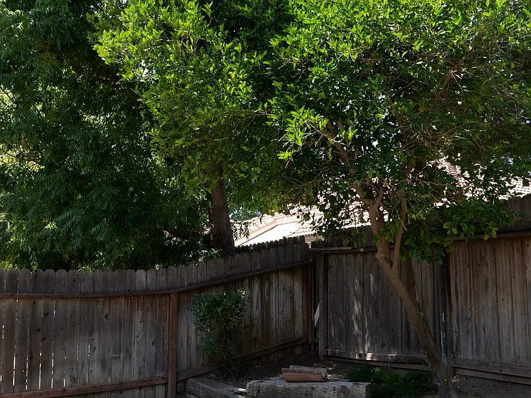 1044 E Manhattan Ave — Photo 31
