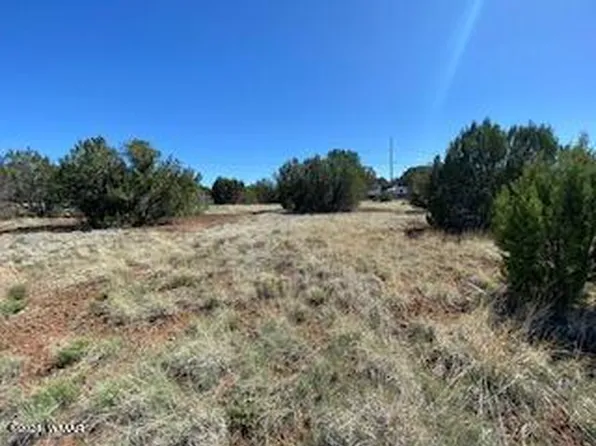 8459 Canyon Dr, Show Low, AZ 85901