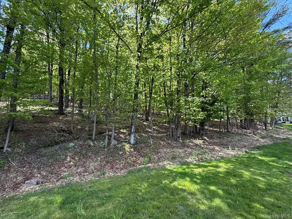 Westwood Avenue, Ellenville, NY 12428