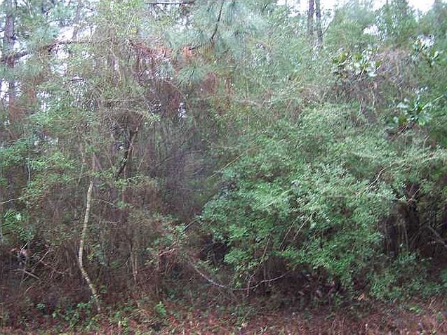1st image of 714 Ingraham Pl