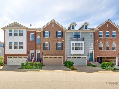 29 Neri Dr, Schaumburg, IL, 60194