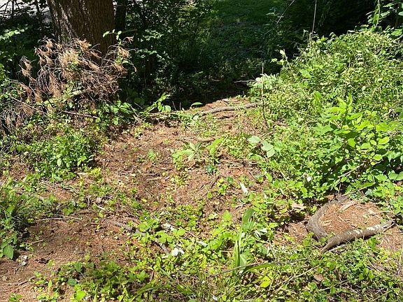 2nd image of Peach Ridge Rd