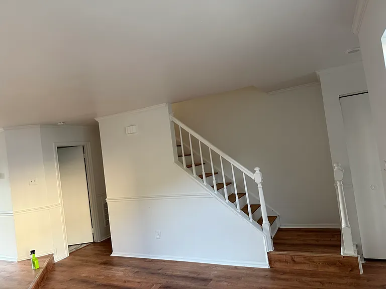 18947 Snow Fields Cir — Photo 5