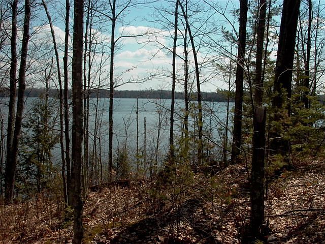 2nd image of L20 Bo Di Lac Dr #Du