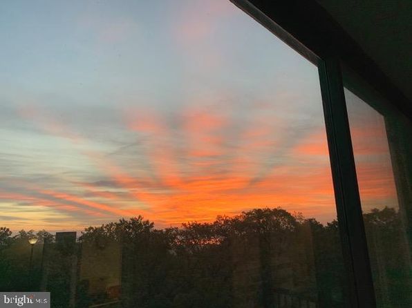 5903 Mount Eagle Dr APT 802