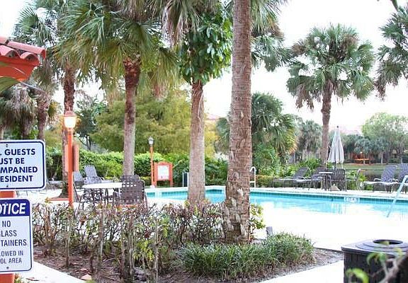 Main pool