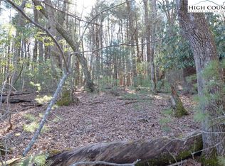 Greenhouse Rd, Roaring Gap, NC 28668