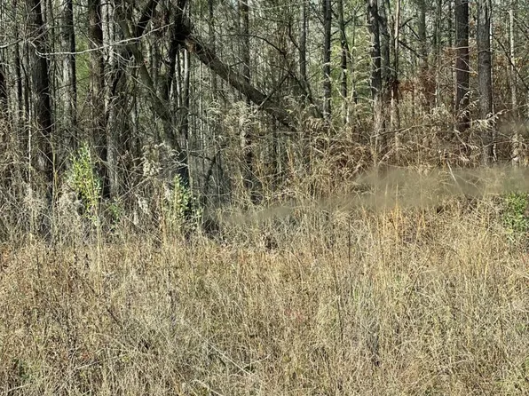 0 Armstrong Dr, Mansfield, GA 30055