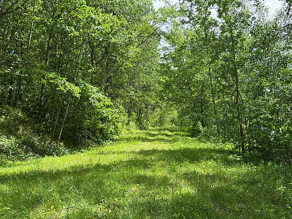 5th image of Hickory Ln