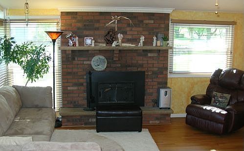 Living room/fireplace