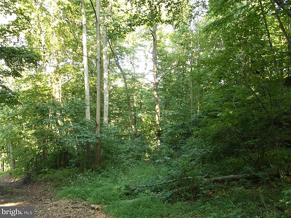 3rd image of 62 Hunters Ln
