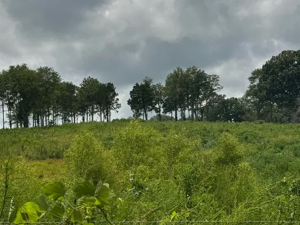 0 Deer Crk, Monroeville, AL 36460