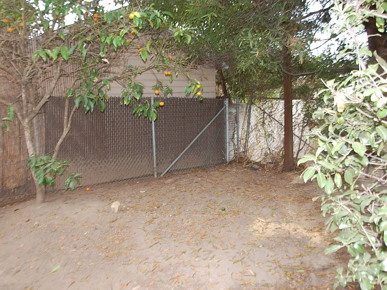 1324 Punta Gorda St — Photo 17