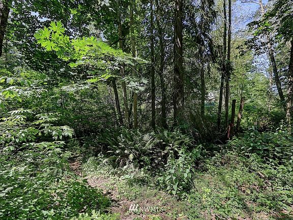 3rd image of 0 XX E Monticello Drive