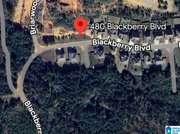 480 Blackberry Blvd #512, Springville, AL 35146