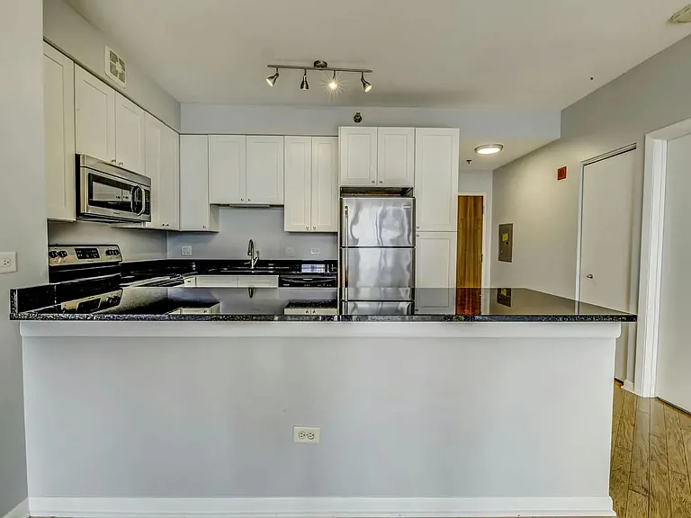 435 W Erie St #1105 — Photo 3