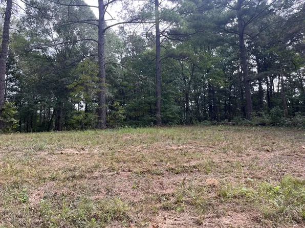 0 Beck Dr Parcel 2, Double Springs, AL 35553