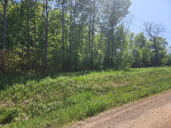 20849 Fitz Rd, Burtrum, MN 56318
