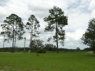 101 Village Dr, Welaka, FL 32193