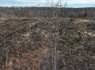 LOT 3 Lamontville Rd, Decatur, TN 37322