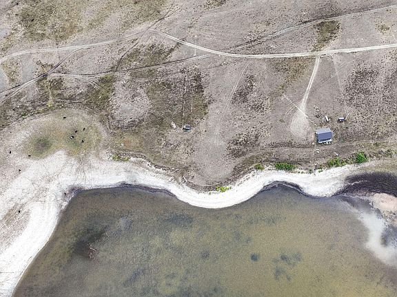 3rd image of Nhn South Shore Duck