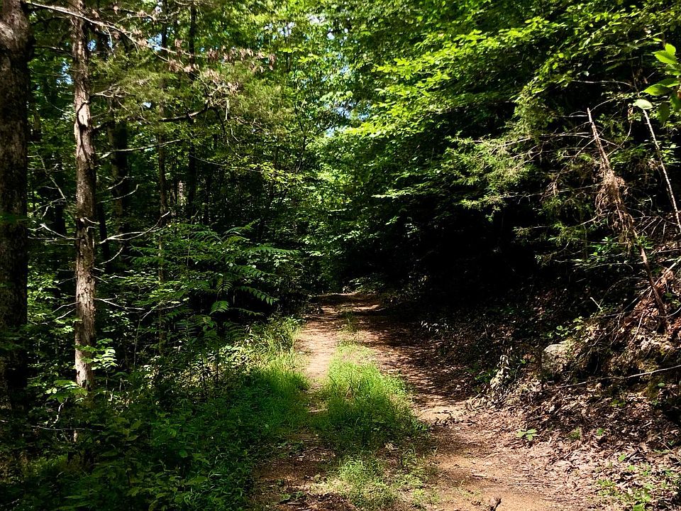 2nd image of River Ridge Rd Tract 1