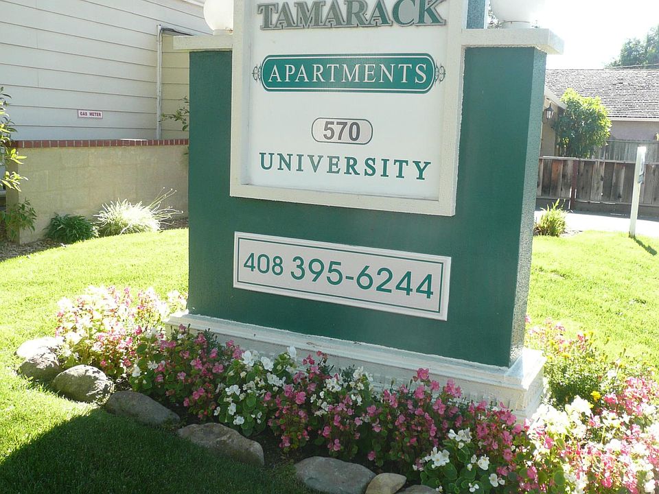 1st image of 570 University Ave