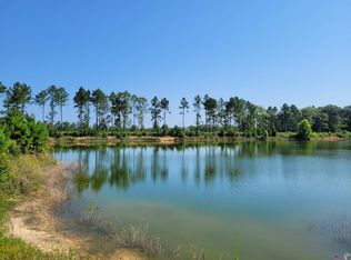 1 Hidden Pass Dr, Denham Springs, LA 70726