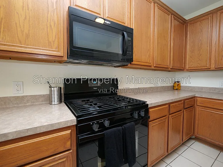 1203 Lavender Shade Ct — Photo 17