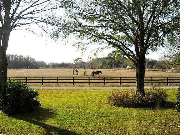 Pasture view from the Kitchen