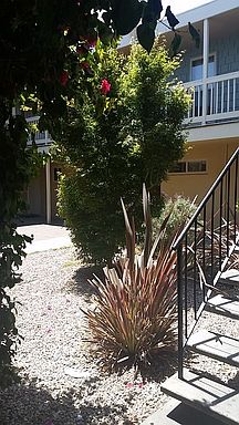 3rd image of 362 E Lake Ave APT 25