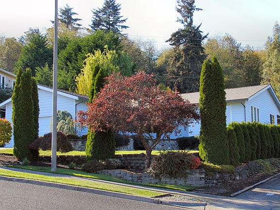 Right front of home