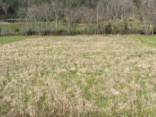 4 Pine Log Rd, Warne, NC 28909