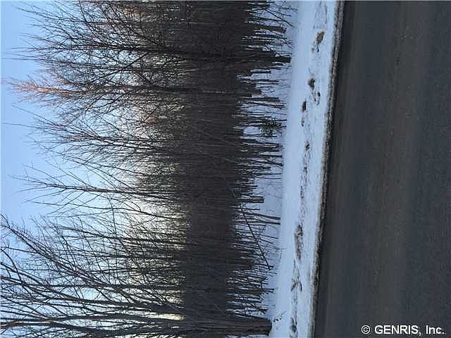 2nd image of 0 Berg Rd