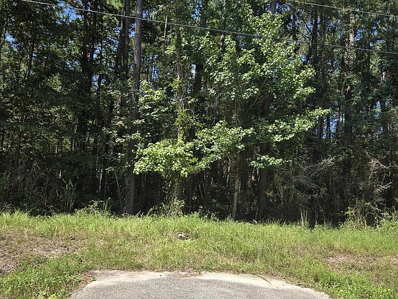 5th image of Lot 1 Herbert Ln.