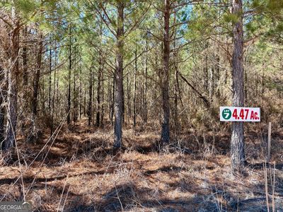 0 Rock Springs Rd, Glenwood, GA, 30428