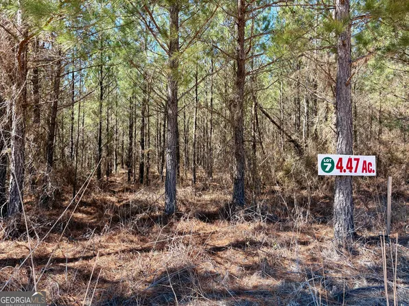 0 Rock Springs Rd, Glenwood, GA 30428