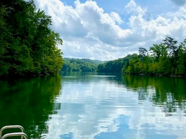 Wildcat Hollow Rd, New Tazewell, TN 37825