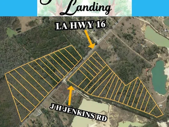 Rs 8 Jh Jenkins Ln, Denham Springs, LA 70706