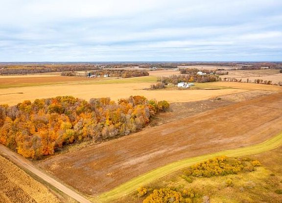 Crop Land: Todd Co: From SE looking NW'ly and Showing Lower and Upper Fields